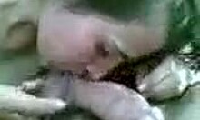 Sweet girlfriend loves boyfriend and his dick