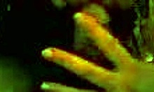 Dazzling Amateur Diva Deepthroats Big Schlong on Homemade Bed