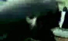 Pretty girlfriend sucks cock in homemade POV porn. She loves every moment in this amateur flick.