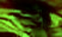 Amateur Chick Feels Deep Emotions As She's Banged In Stockings With A Thick Dick