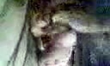 Mature Woman Sucks In Homemade Clip