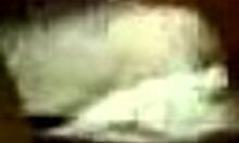 I, an amateur brunette, wanna have sex with my bf so bad, spreading and grinding on his cock in POV homemade video.