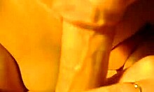 close-up of a passionate girlfriend sucking cock