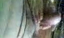 Mature Woman Sucks In Homemade Clip