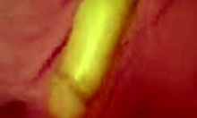 brunette girlfriend sucks cock swallows load face fucking pov close-up