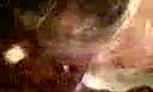 Perfect teen cutie licks boyfriends big cock in pov