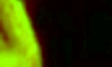 Teenage hottie blows bf's big cock russian brunette homemade bed