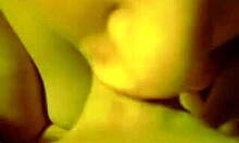 close-up of a passionate girlfriend sucking cock