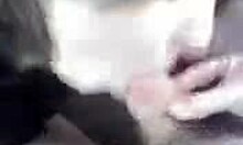 i got my girlfriend's face covered in cum after sucking