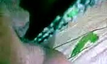 lonely hottie uses dildo on her private shaved area