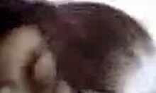 Cute Young Asian Sucks Cock In Pov Homemade