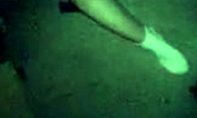 Amateur Brunette in White Socks Gets Blowjob and Missionary Fuck