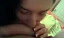 adorable brunette with long hair gives sensual blowjob pov ball licking homemade