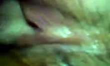 Girlfriend intensely fucks her boyfriend in front of the mirror, moaning loudly.