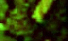 Reluctant Russian Diva Fingered And Fucked Hard By Boyfriend In Missionary