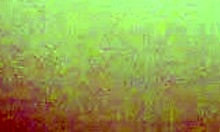 I Can’t Believe My Short-Haired Girlfriend Was Forced to Suck Cock!