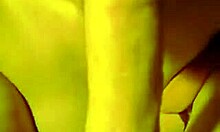 close-up of a passionate girlfriend sucking cock