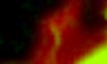 Pretty Hottie Blows Boyfriend's Cock Emotionally