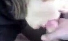 i got my girlfriend's face covered in cum after sucking