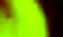 Teenage hottie blows bf's big cock russian brunette homemade bed