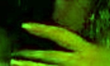 Dazzling Amateur Diva Deepthroats Big Schlong on Homemade Bed