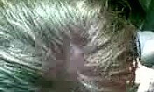 Passionate teen 18+ contrasts sloppy blowjob with ball licking and cum in mouth