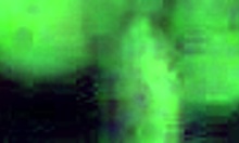 Slutty girlfriend fingered and sucks hard dong