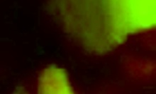 Teenage hottie blows bf's big cock russian brunette homemade bed