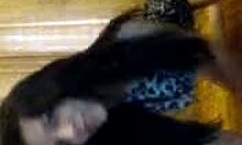 Hey, check this busty Russian sweetie flaunting her stunning body for you!