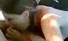 Cute Brunette Sucks Cock Obediently