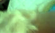 Amateur blonde teen deepthroats boyfriends rod in pov bed blowjob 😍