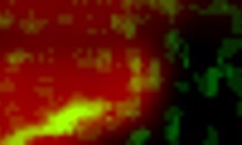 Pretty Hottie Blows Boyfriend's Cock Emotionally