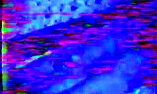 Shy sweetie engages in intimate encounter with two guys homemade