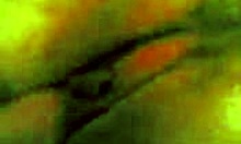 Beautiful BBW Enjoys Hard Fucking with Her Horny Boyfriend