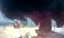 horny girlfriend blows hard cock on the beach with ball licking