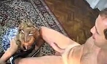 Cock-Hungry Blonde Girlfriend Swallows Big Cock And Licks Balls