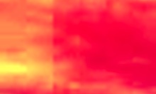 Busty amateur brunette sucks big cock then takes wild anal