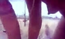 horny girlfriend blows hard cock on the beach with ball licking