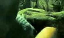 Amateur Hotties Suck Lucky Dudes Massive Schlong. European Homemade Oral.