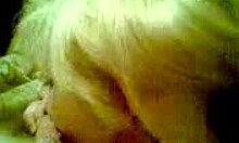 Cockhungry blonde GF sucks cock roughly with hair pulling in POV