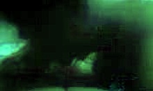 teenage brunette sucks boyfriend's cock in bedroom