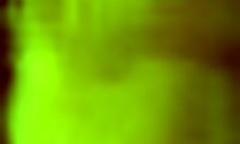 the amateur ex girlfriend jerks and sucks a hard cock in pov