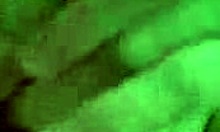 Aroused Hottie Masturbates Trimmed Hole