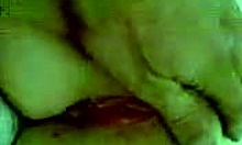 Tight pussy hoe shows cunt to camera with fingering pov close-up masturbation big pussy