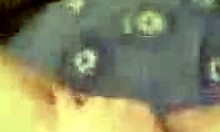 Cute girlfriend masturbates wet pussy and sucks hard cock.