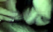 ball licking is this amateur hottie's specialty in pov sucking