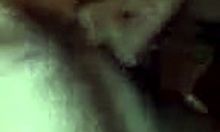 ball licking is this amateur hottie's specialty in pov sucking