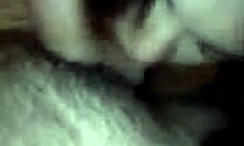 ball licking is this amateur hottie's specialty in pov sucking