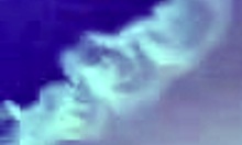 Mature Brunette in Costume with Round Booty