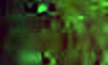 Cute girlfriend masturbates wet pussy and sucks hard cock.